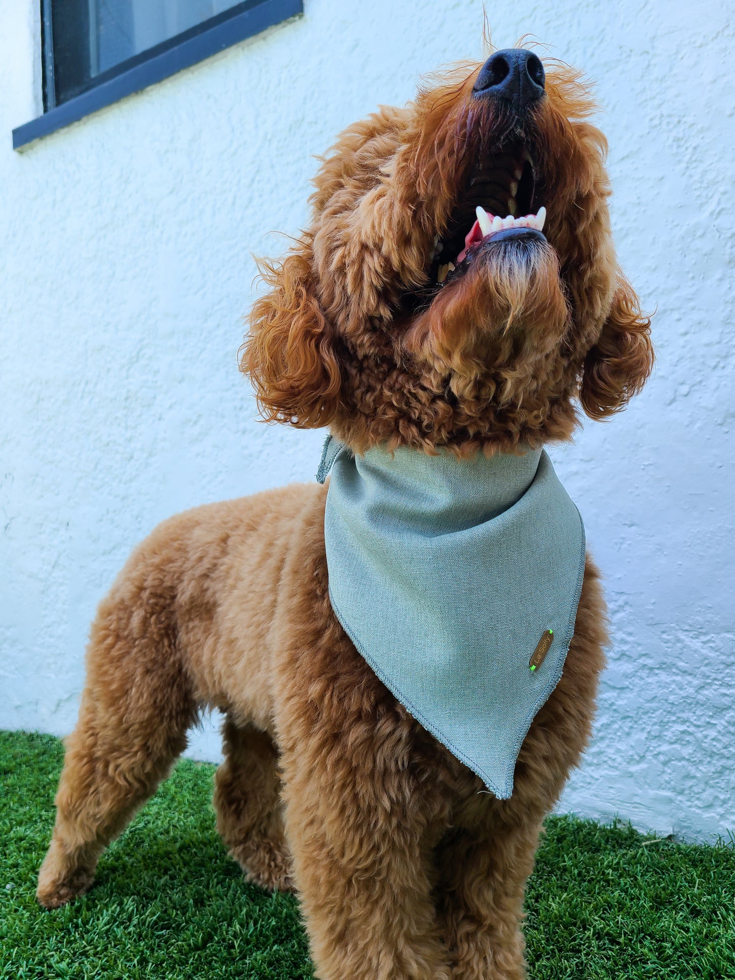 Liv Dog Bandana