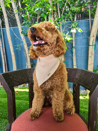 Soho Dog Bandana