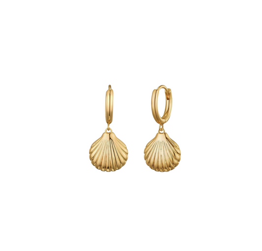 Shell Earrings